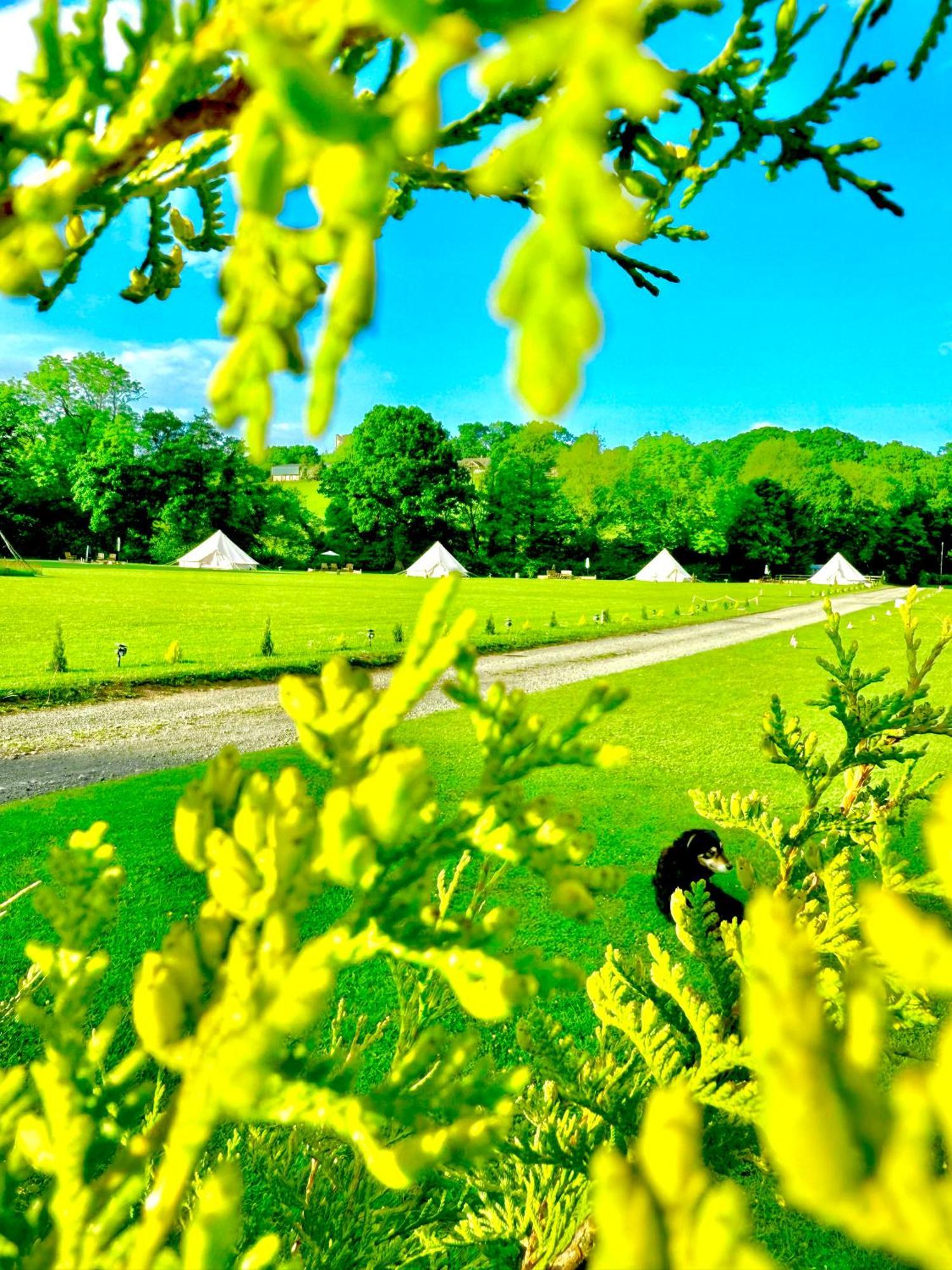 Cayoretreat Luxury Bell Tent Clodock Esterno foto